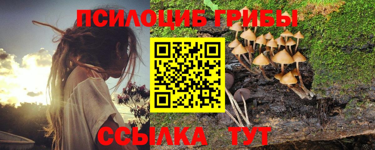 Галлюциногенные грибы GOLDEN TEACHER  Вход с VPN  Саянск 